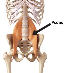 Étirement psoas TOP 5 exercices guide complet