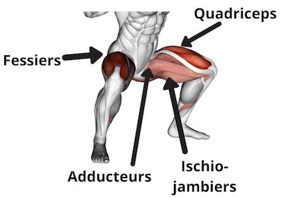 sumo-squat-muscle-sollicite