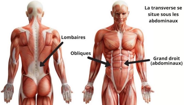 Core Training: Mon TOP 7 Exercices de Musculation [LE Guide Complet]
