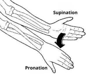 Pronation Supination: Quelle Prise Utiliser? (+3 Autres Prises)